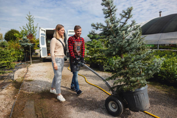 Best Leaf Removal  in Fairbank, IA